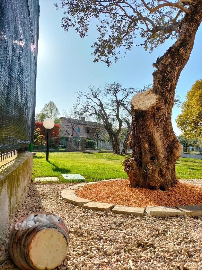 Casa Degli Ulivi Villa Lazise Exteriör bild